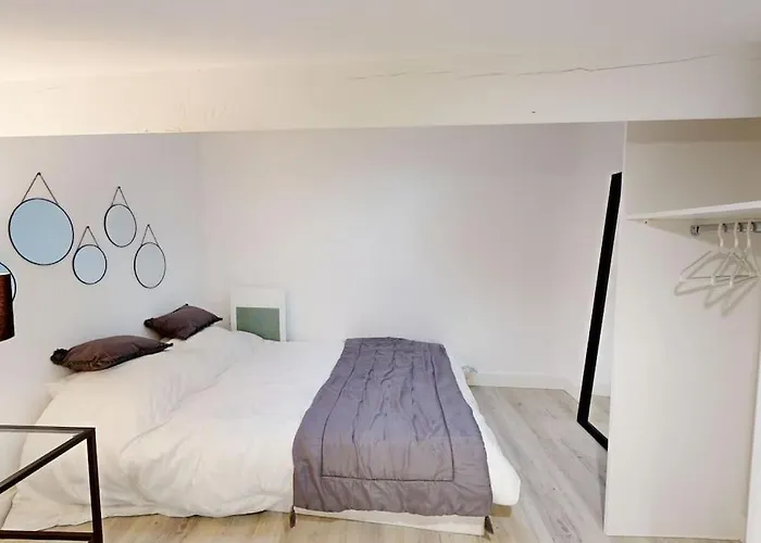 Chal3 Duplex Cosy A 200m Du Capitole *